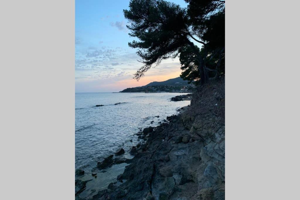 Appartamento L'Escale Carqueiranne Esterno foto